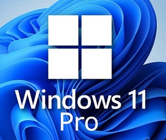 Windows 11 Professional 32/64 Bit Key - Email Delivery